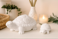 3D Schildkröten Set in Weiß & Farbwunsch – Liebevolle Deko im 2er Set